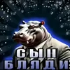 fffffssakk