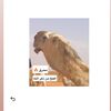 زعيم ابن جزاء