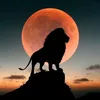taqana_shex_ahamd