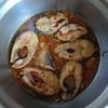 kucing.garong.kuc38