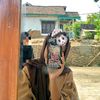silviatul_j....h