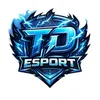 TD ESPORTS