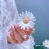 piyanka.ranasinha