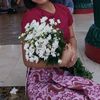 jeonnilwin