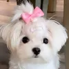 mymelody1997j