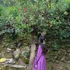 rajina.shreesh.magar1