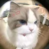 khanhhuyenn_144