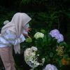 im_heea