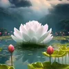trinh.do61