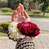 monir.khan5431