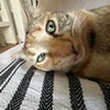 clg_30