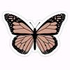 .enzzoy_3