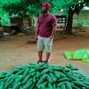 olat.farm