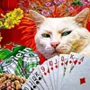 nhohuynh30978