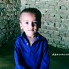 shokat.ali84