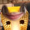 eeeeeeeeee._36