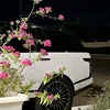 zeihd.ail
