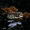 user3914488117754