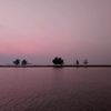 ampass.koppii