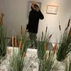 sami65778
