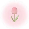 user200793575237