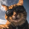 tik.tok_notification33