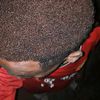 sajidali333402