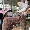 hoangmy250894