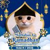 khoirun.najib35