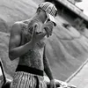 _avlis_157