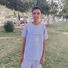 mody2012136