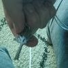 vfx_kingx
