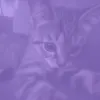 smudk_08