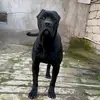 heyvanlara.maraq