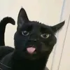 dexter_drrduen