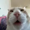 fatoom3669