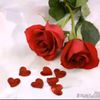 user92357381926156