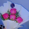 rr69882