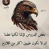 user15700940571362
