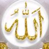 user1294245461810