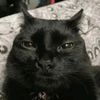 breadlufe6