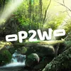 p2wduck