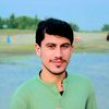 muhammadusama6136