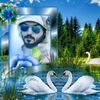 user8197833365773