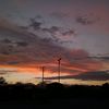 dee_mauro2804