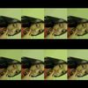 pemain.bola.junior