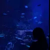 phuongmai17_01