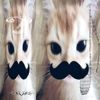 sanya_br4h