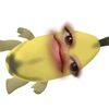 srnwiaa_