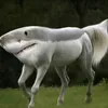 growagardenanddev